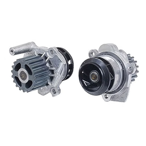 Mitsubishi Water Pumps
